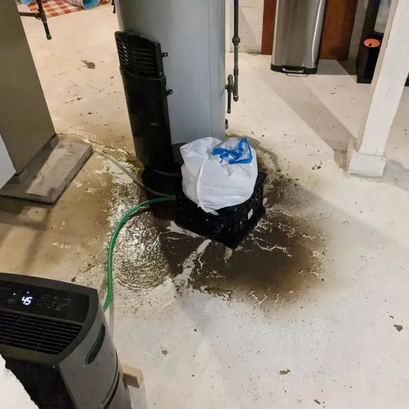Sewage Backup Cleanup Service in Pinson, AL